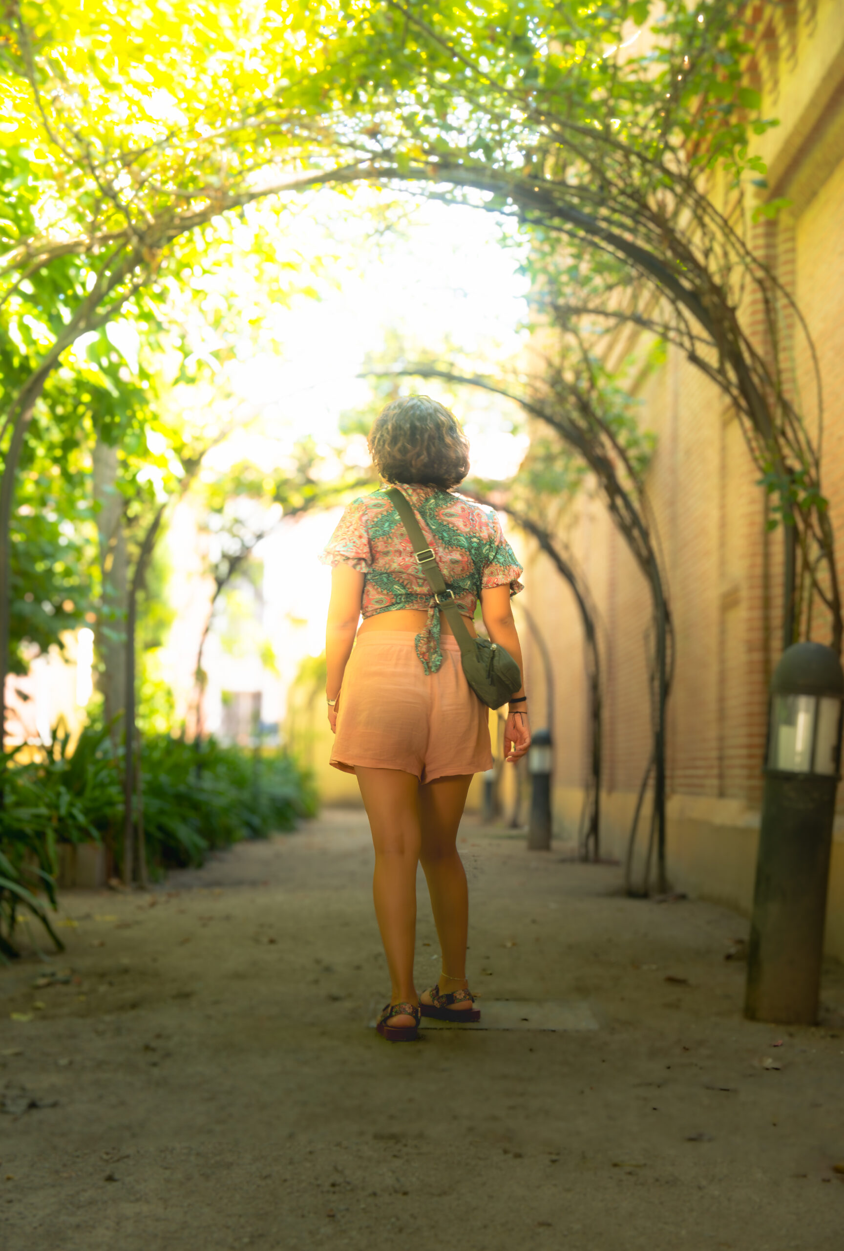 Sendero de las Flores