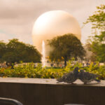 Loving pidgeons at Paris